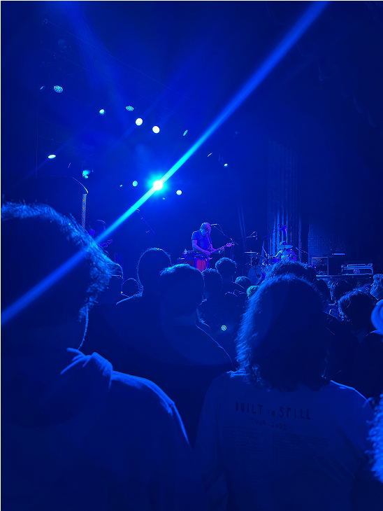 Concert crowd with blue stage lighting