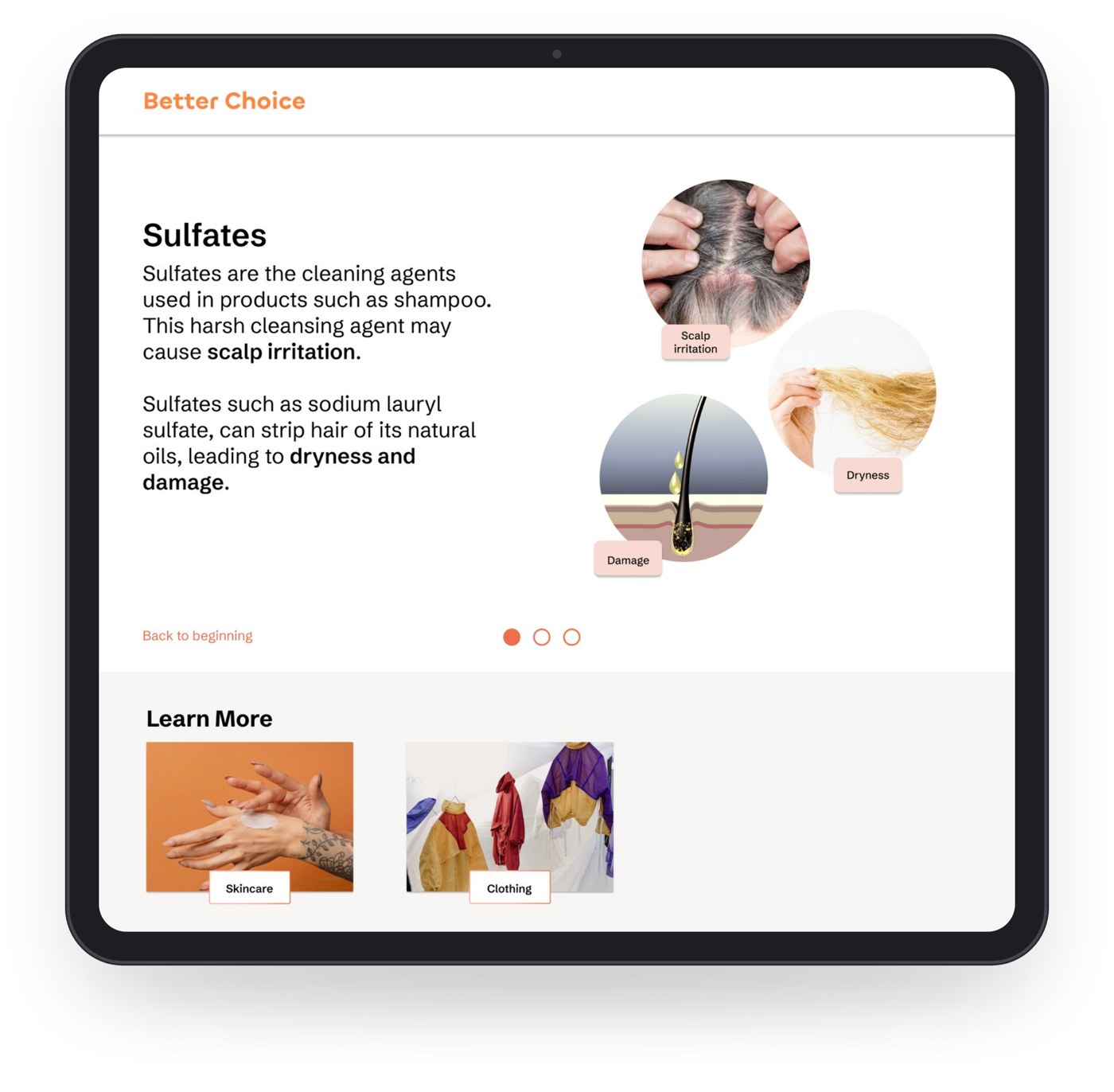 Better Choice lesson page on sulfates with explanatory images
